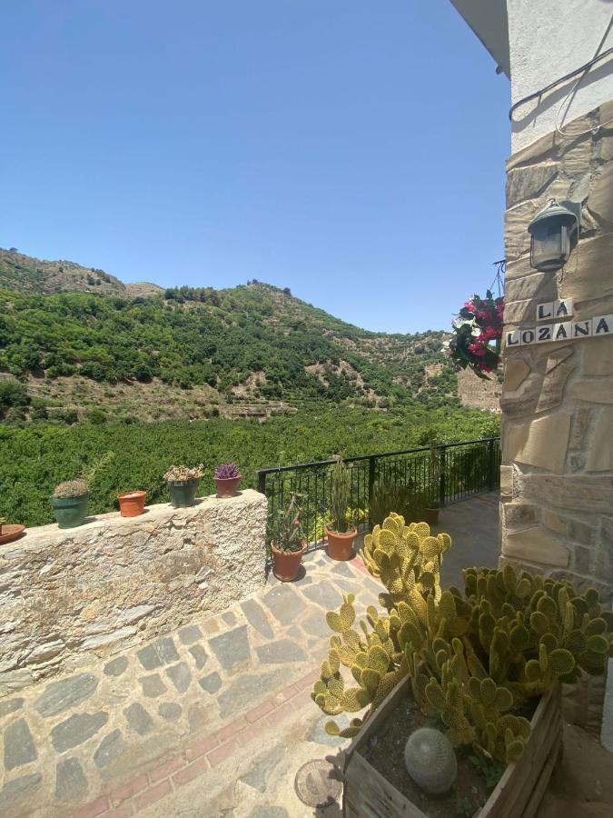 La Lozana - Rio Verde Jete المظهر الخارجي الصورة